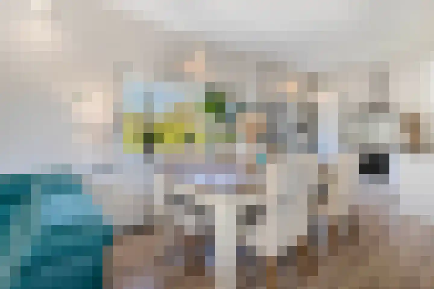 Lijsterbes 16 Naaldwijk thumbnail 15