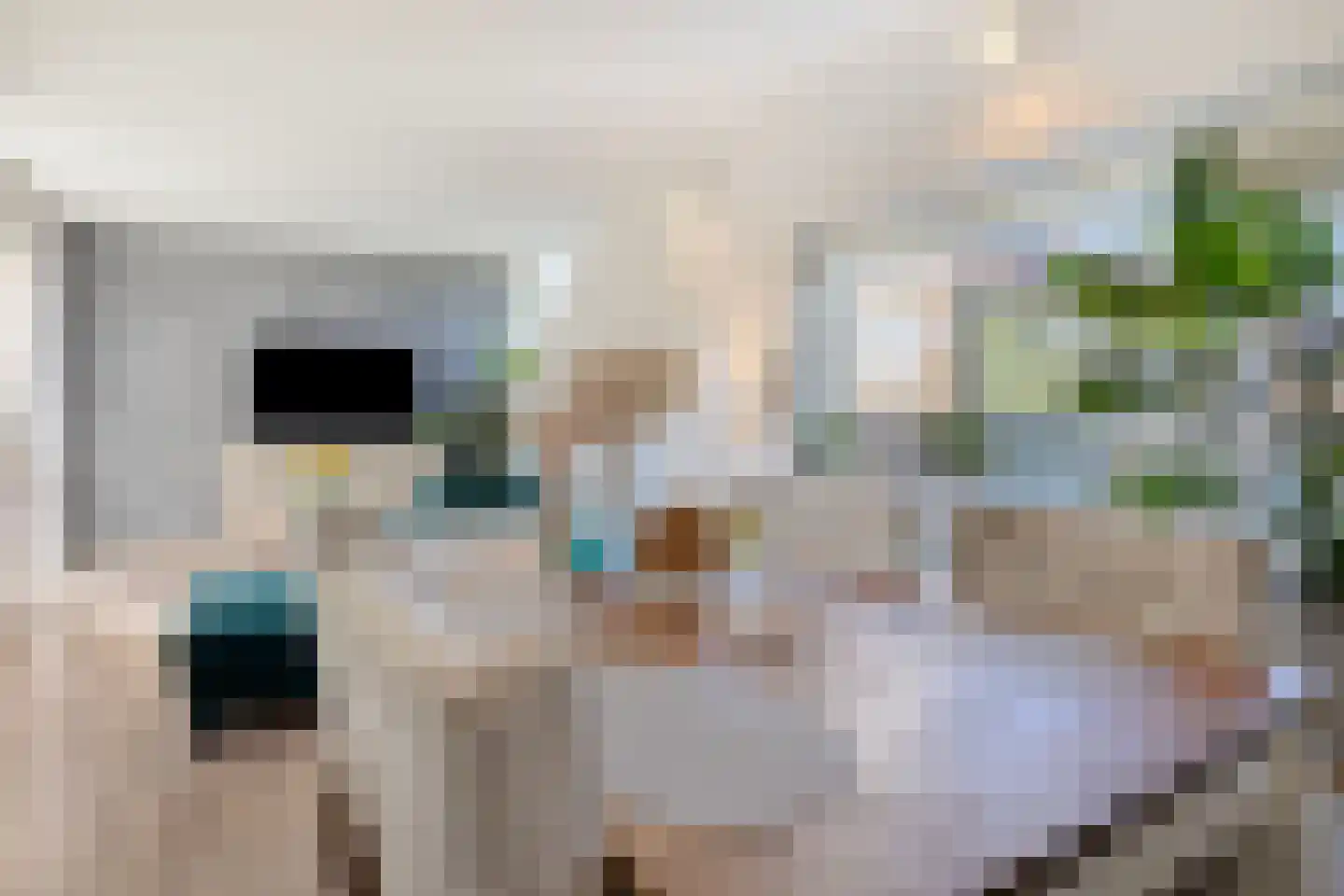 Lijsterbes 16 Naaldwijk thumbnail 16