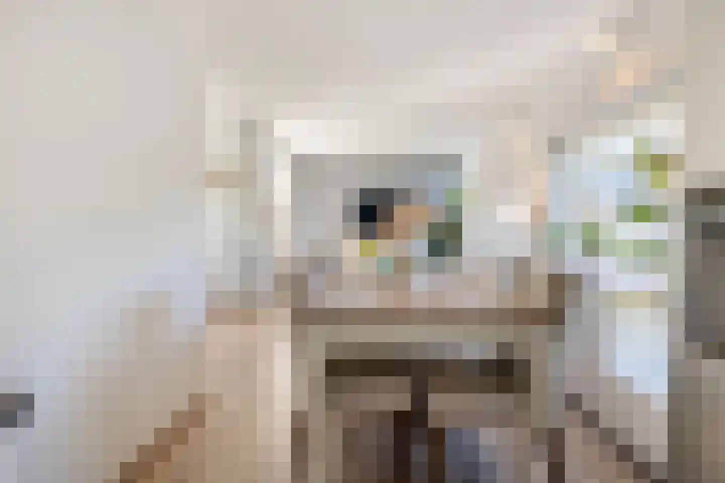 Lijsterbes 16 Naaldwijk thumbnail 20