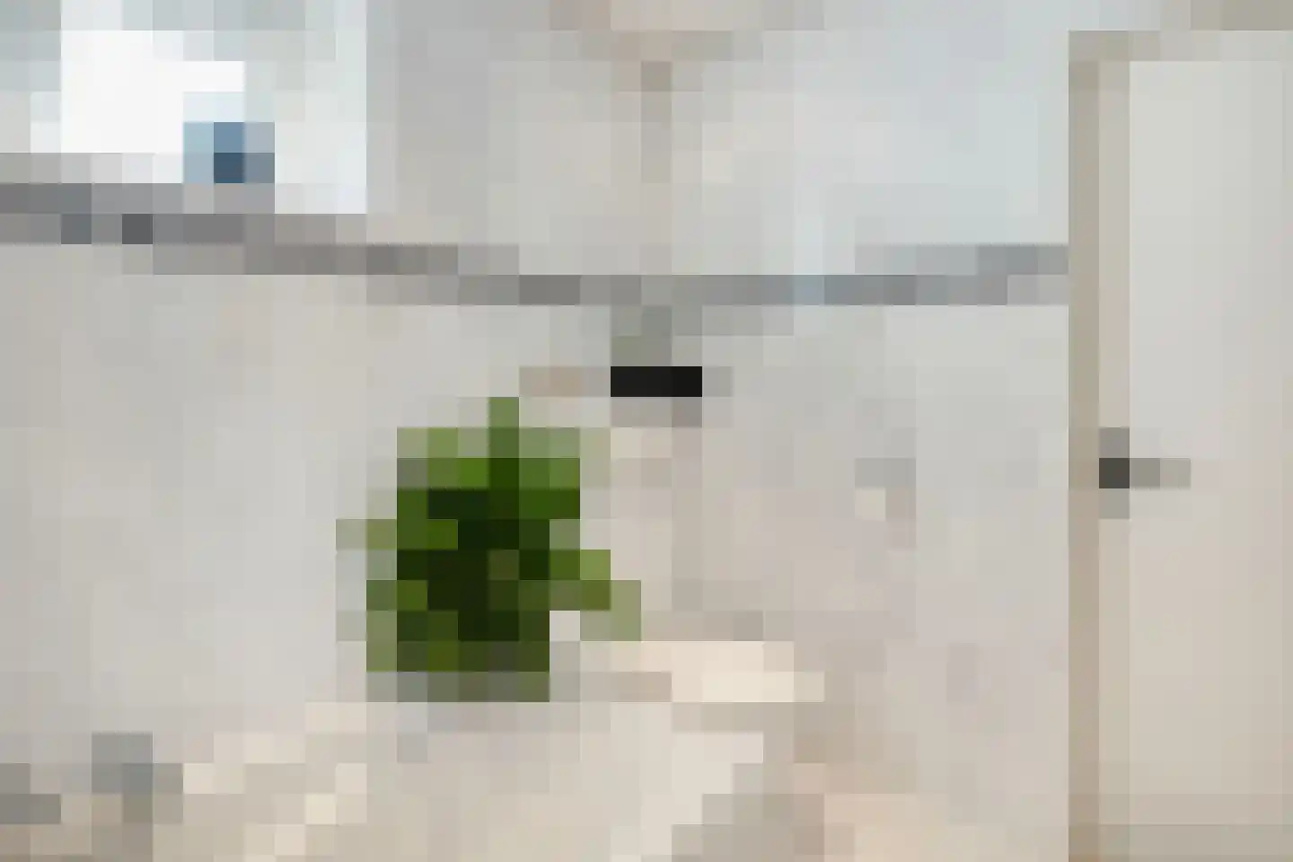 Lijsterbes 16 Naaldwijk thumbnail 28