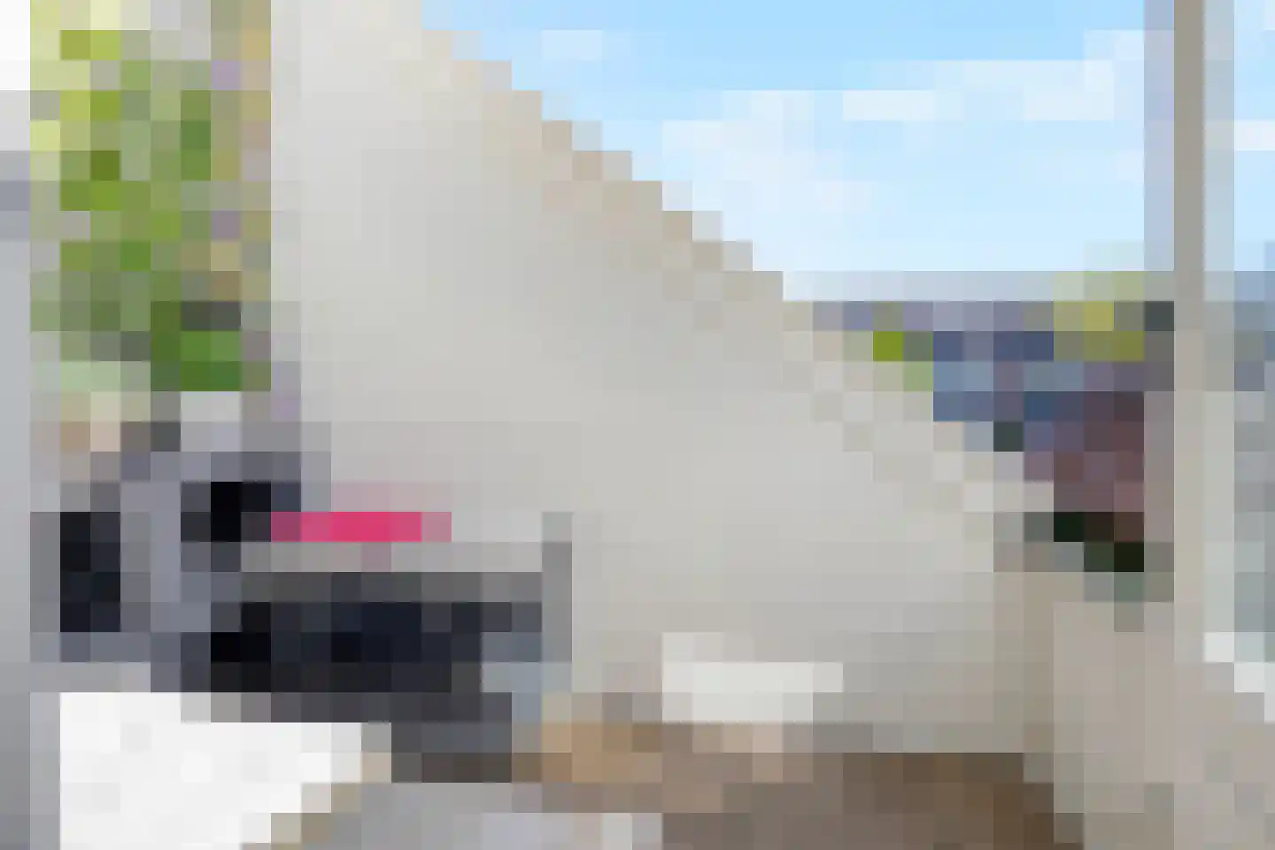 Lijsterbes 16 Naaldwijk thumbnail 29