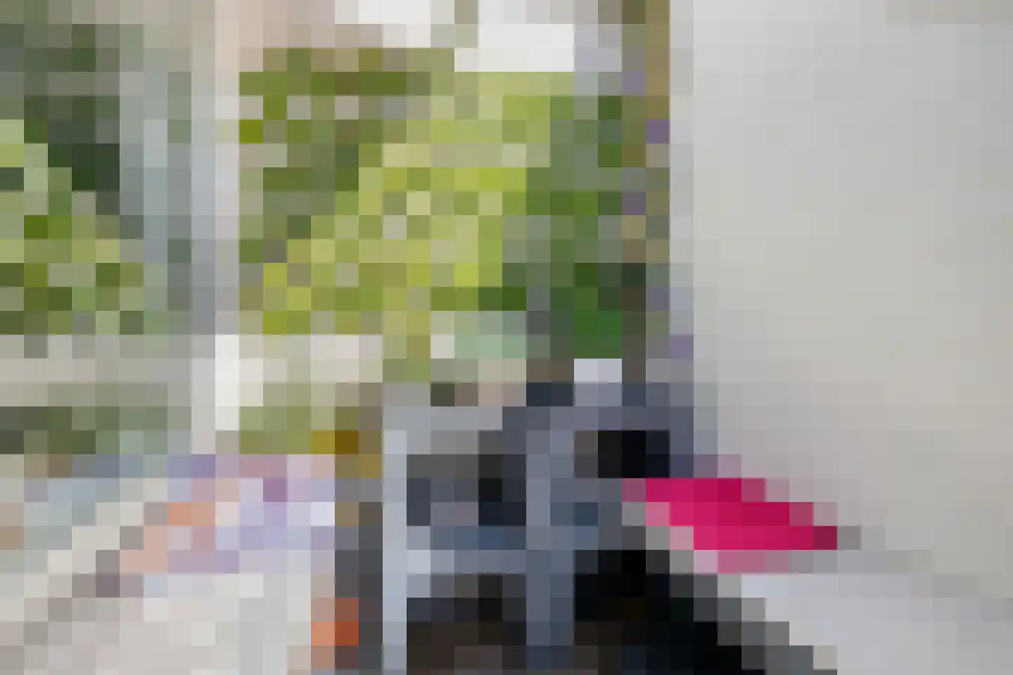 Lijsterbes 16 Naaldwijk thumbnail 30