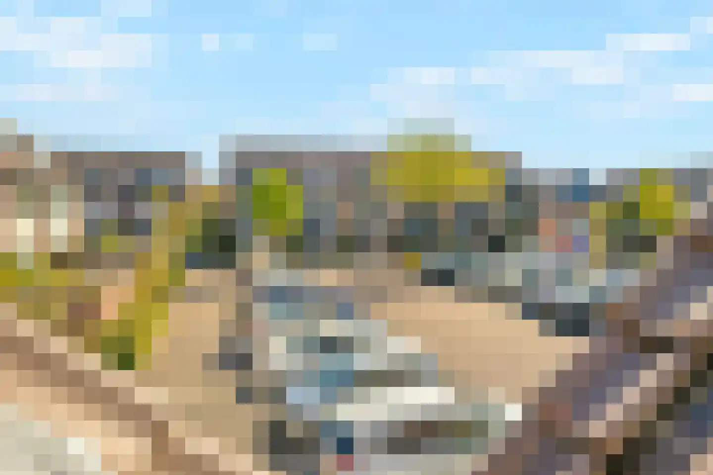 Lijsterbes 16 Naaldwijk thumbnail 31