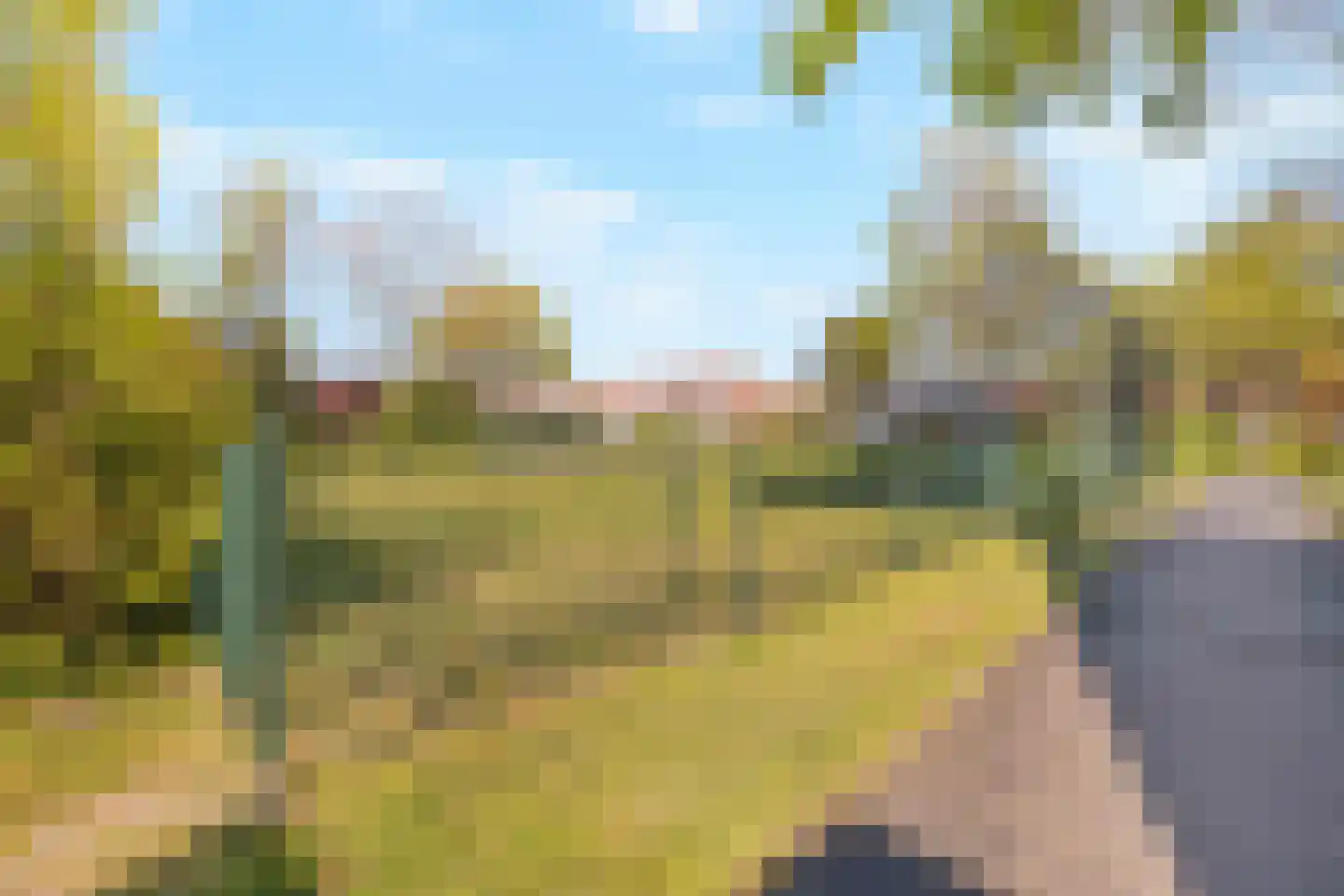 Lijsterbes 16 Naaldwijk thumbnail 37