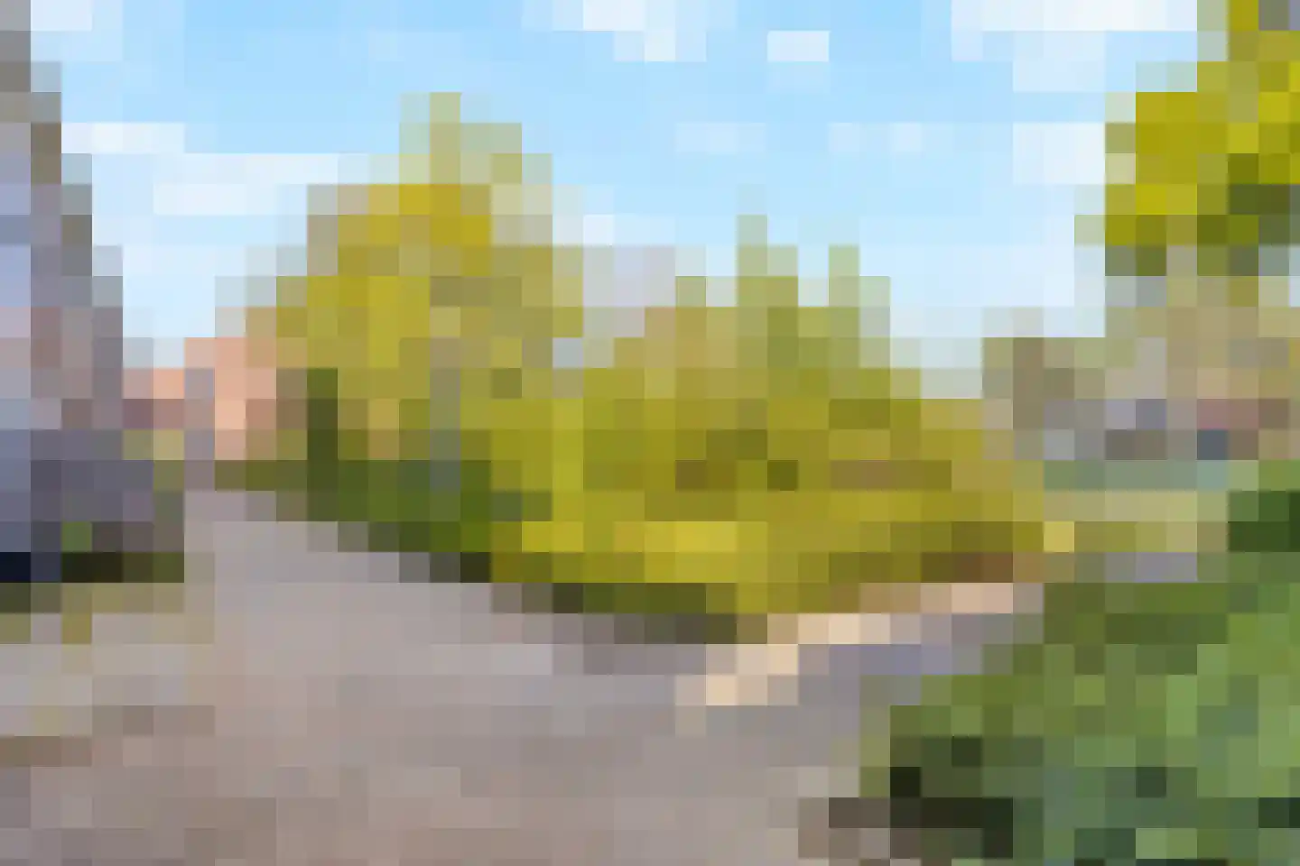 Lijsterbes 16 Naaldwijk thumbnail 4