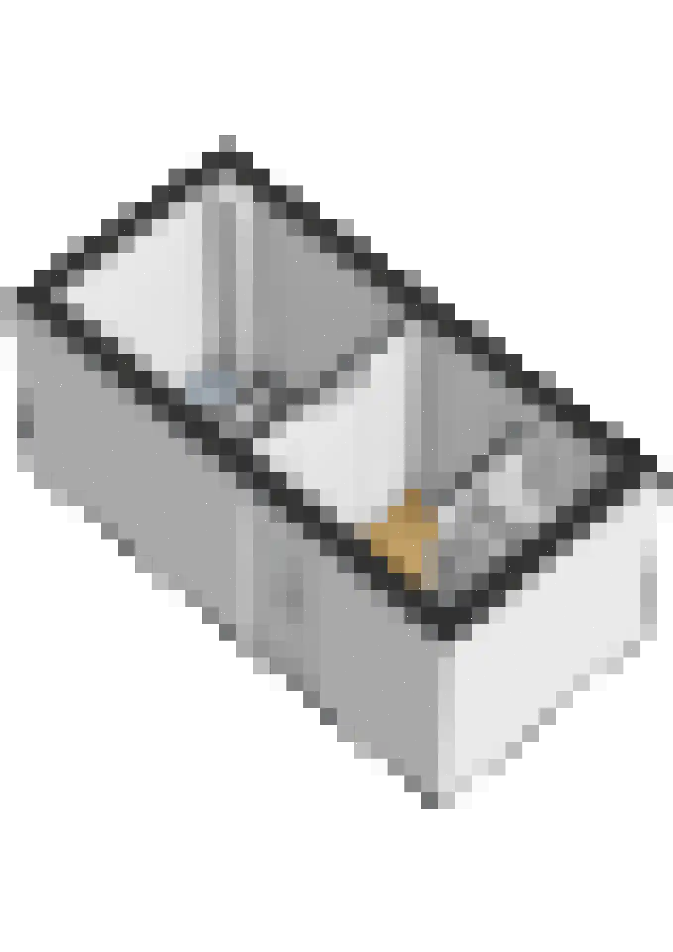 Lijsterbes 16 Naaldwijk thumbnail 43