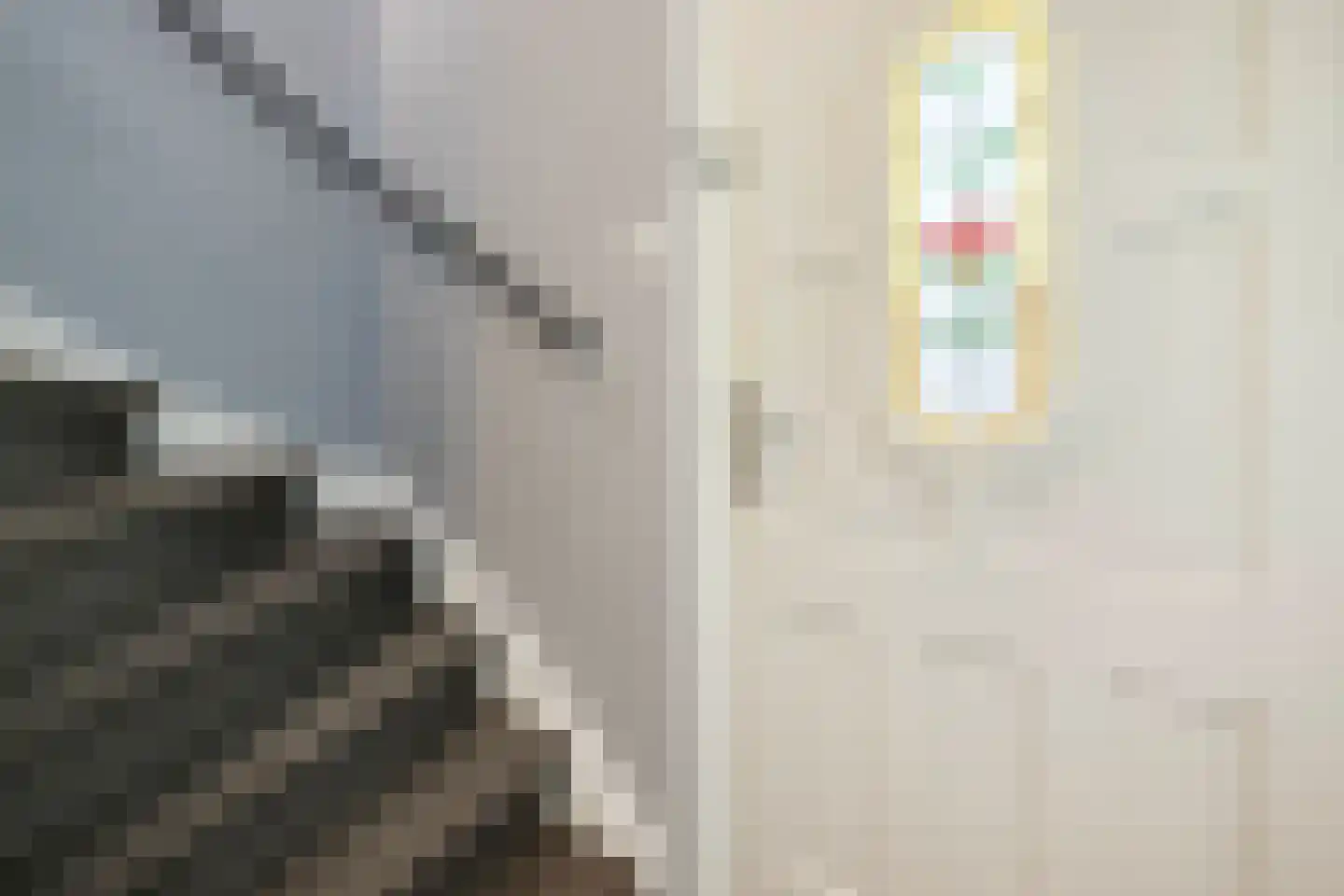 Lijsterbes 16 Naaldwijk thumbnail 7