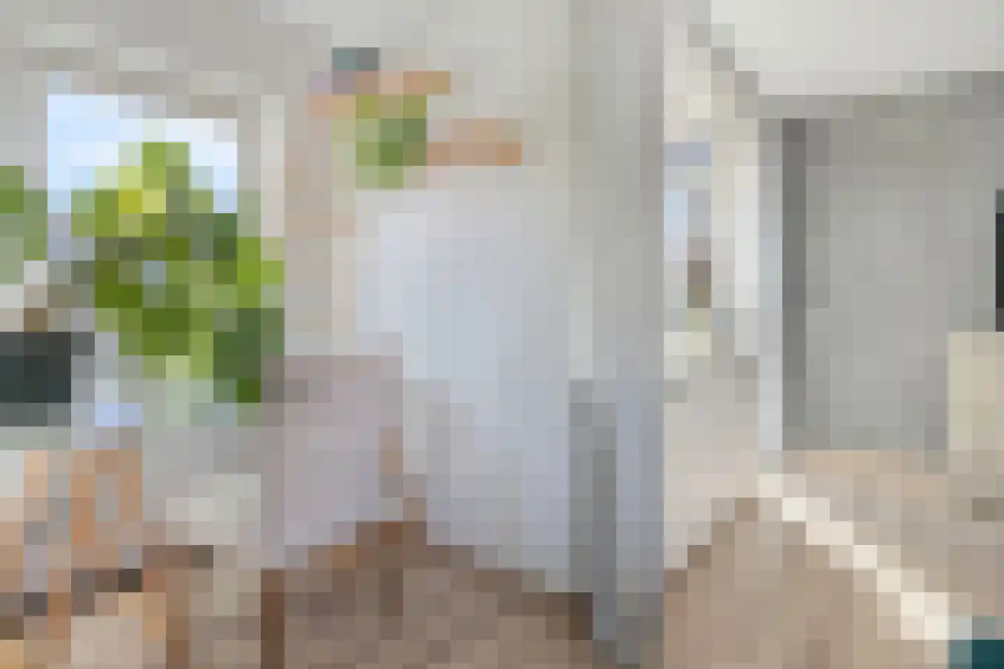 Lijsterbes 16 Naaldwijk thumbnail 9
