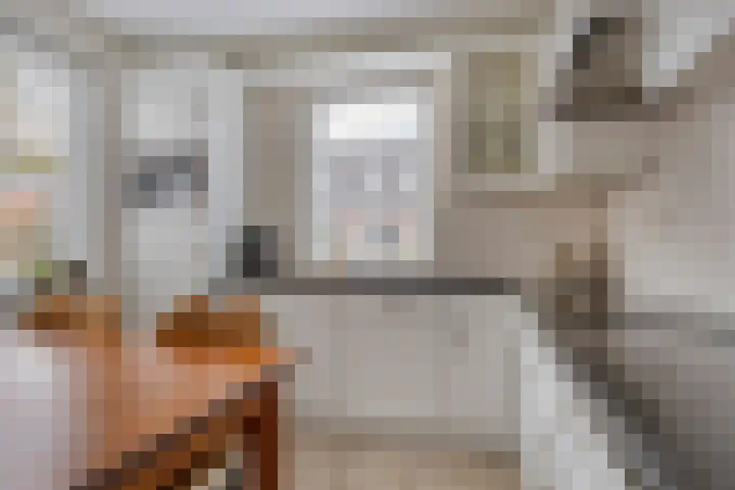 Lijsterbes 19 Heino thumbnail 15