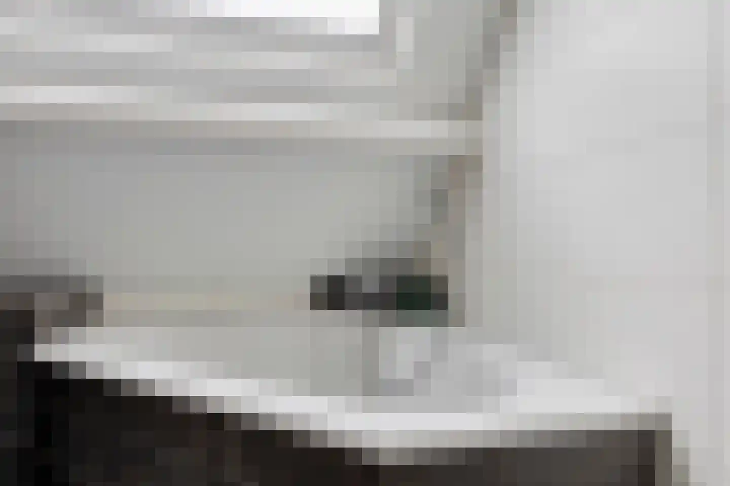 Lijsterbes 19 Heino thumbnail 29