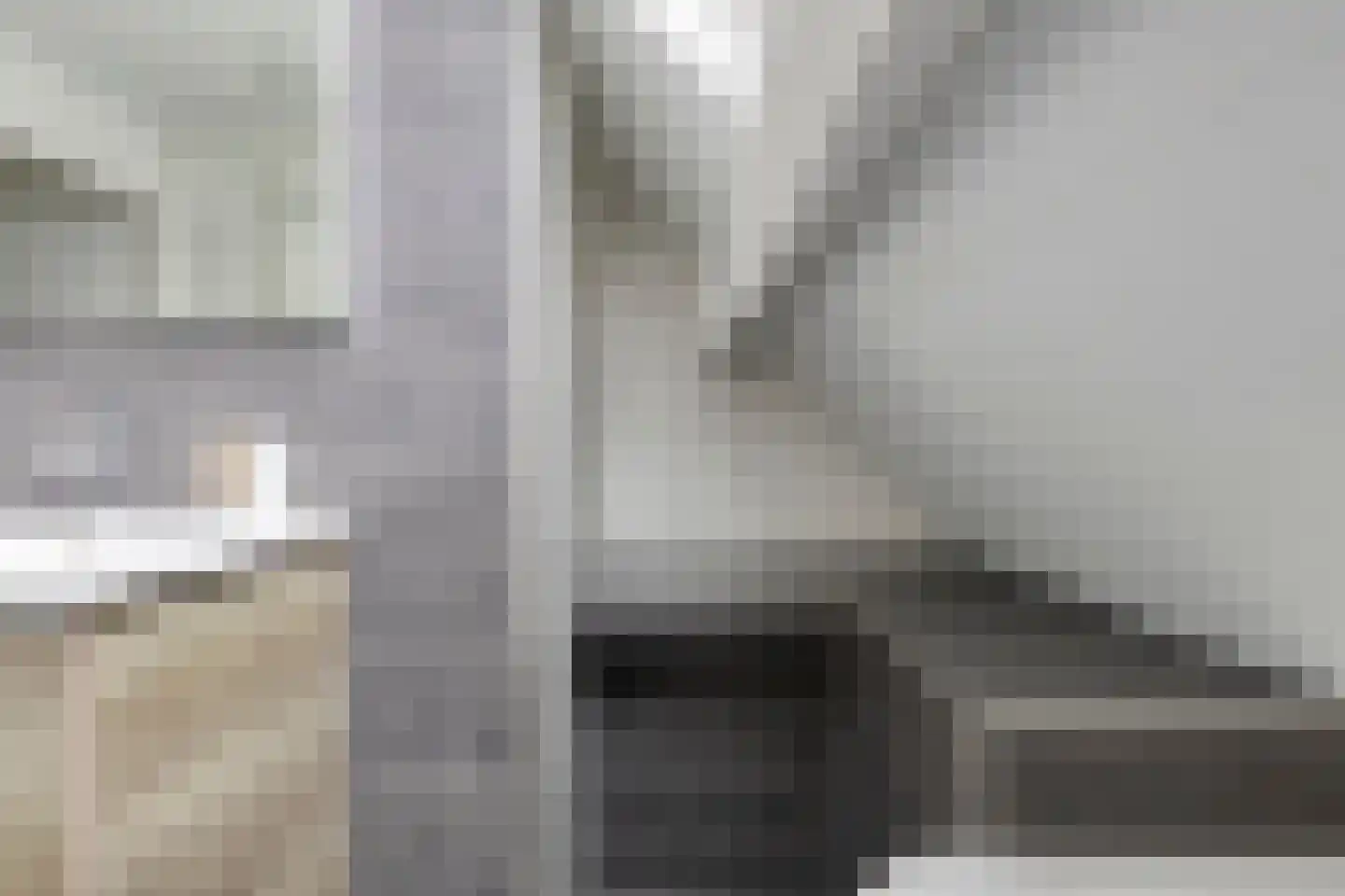 Lijsterbes 19 Heino thumbnail 32