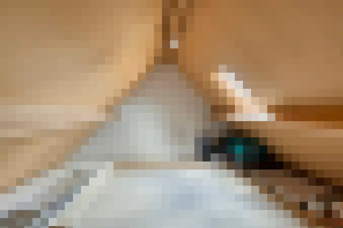 Lijsterbes 19 Heino thumbnail 39