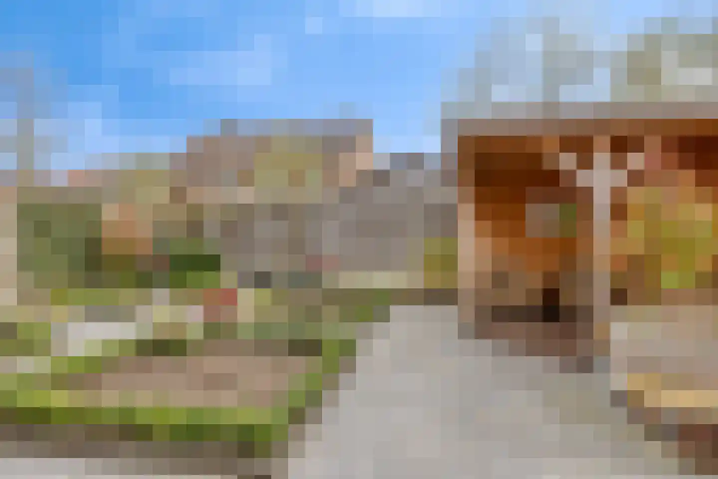 Lijsterbes 19 Heino thumbnail 40