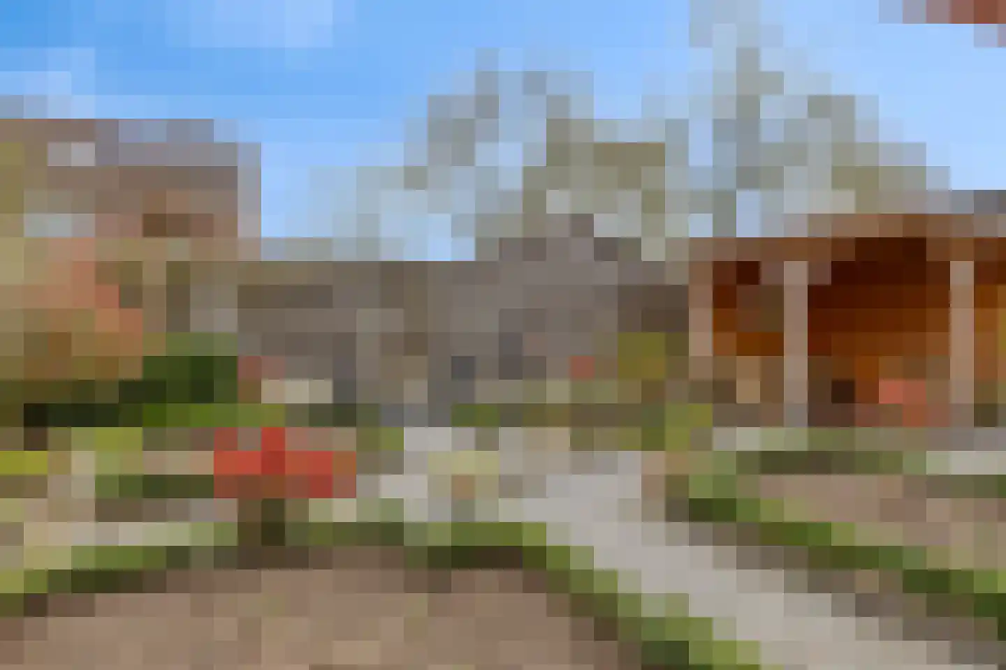 Lijsterbes 19 Heino thumbnail 41