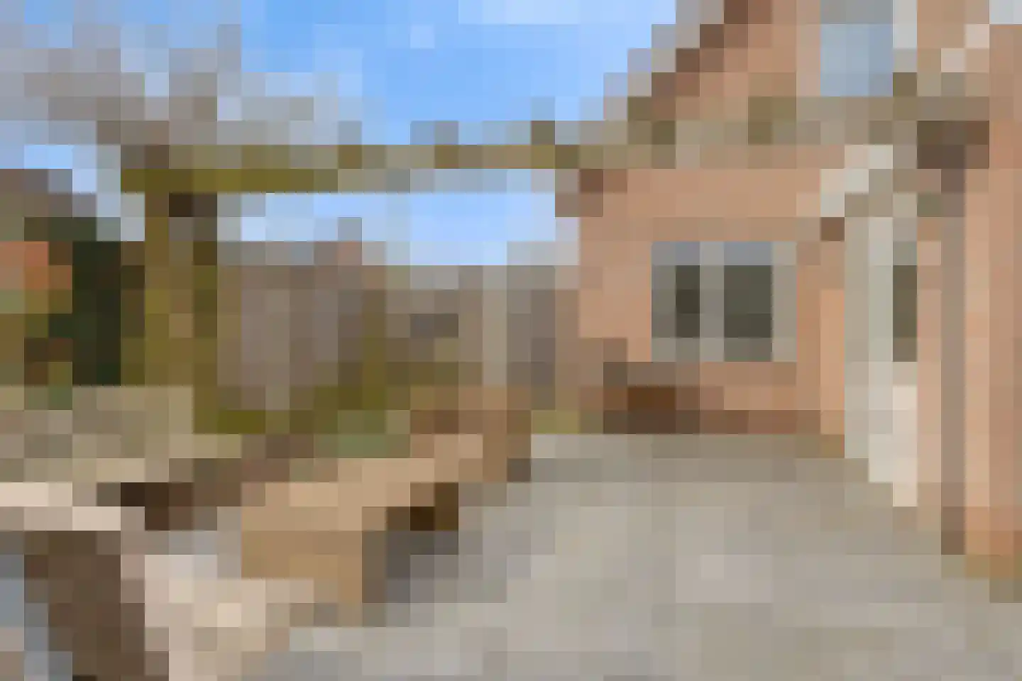 Lijsterbes 19 Heino thumbnail 42