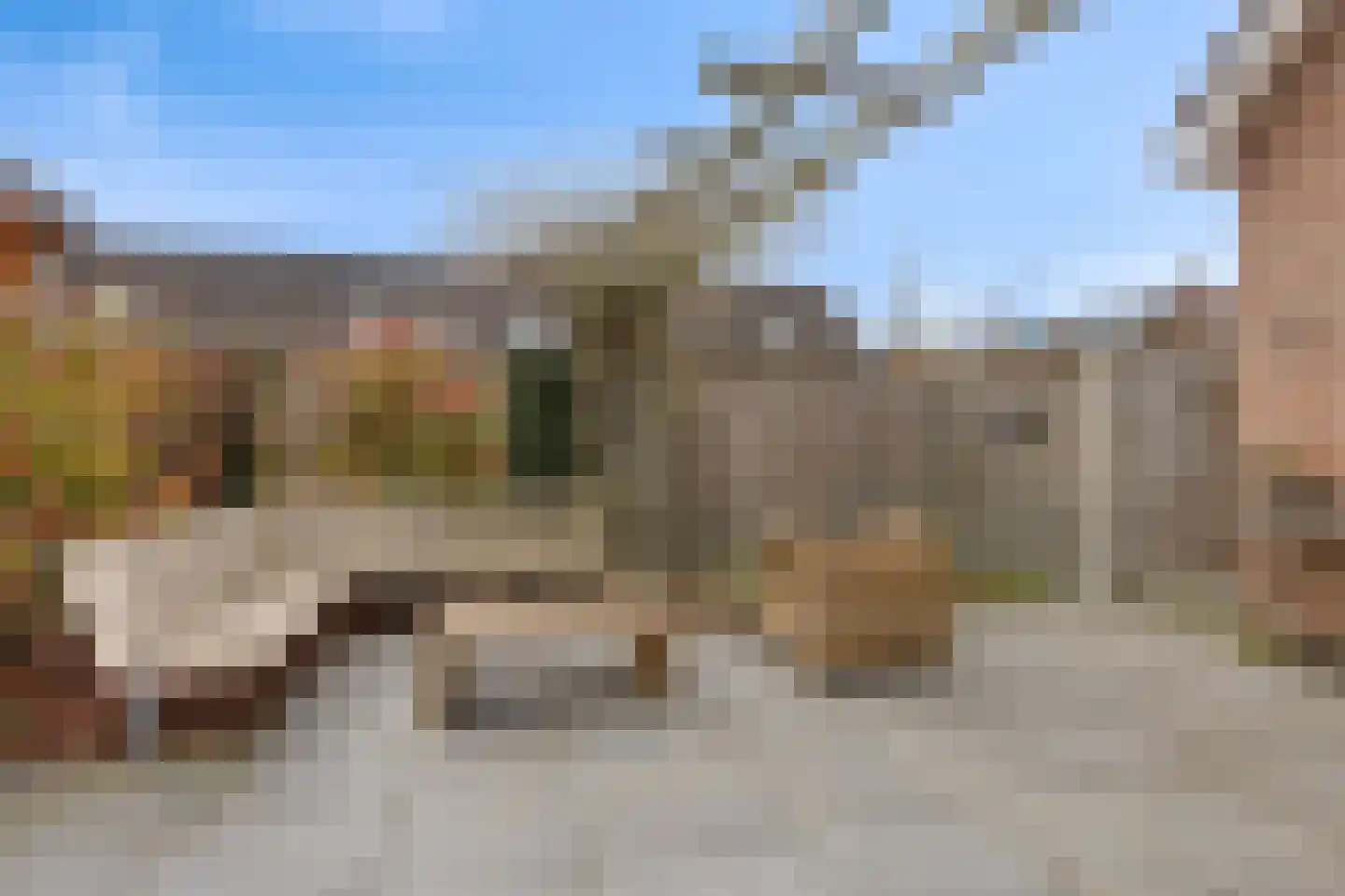 Lijsterbes 19 Heino thumbnail 43