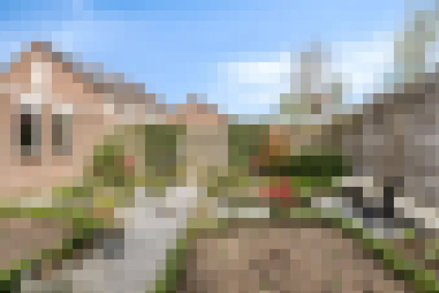 Lijsterbes 19 Heino thumbnail 46