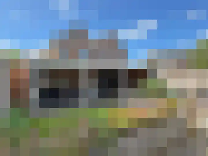 Lijsterbes 2 Coevorden thumbnail 10