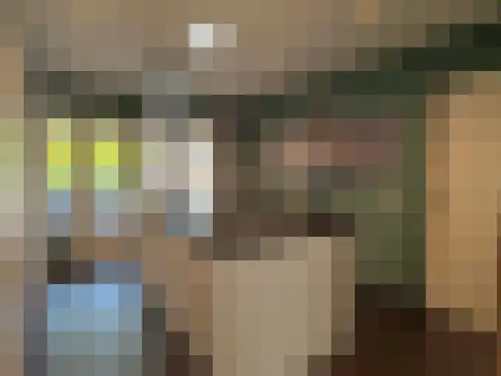 Lijsterbes 2 Coevorden thumbnail 17