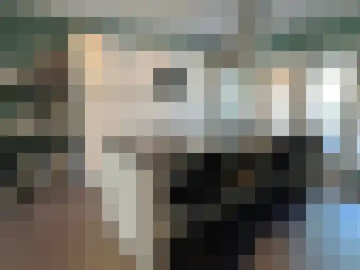 Lijsterbes 2 Coevorden thumbnail 18
