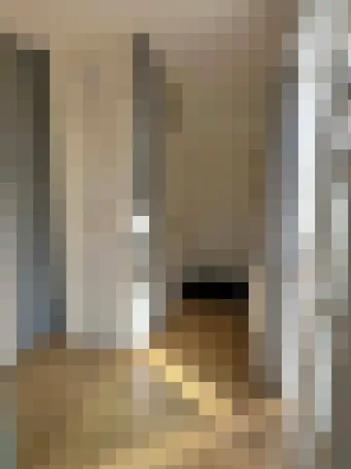 Lijsterbes 2 Coevorden thumbnail 23