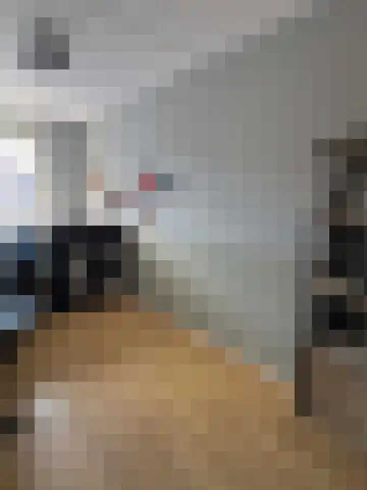 Lijsterbes 2 Coevorden thumbnail 25