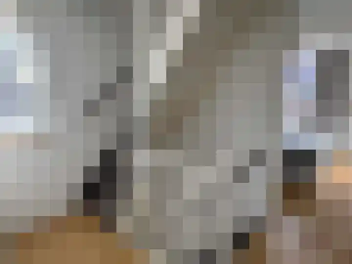 Lijsterbes 2 Coevorden thumbnail 29
