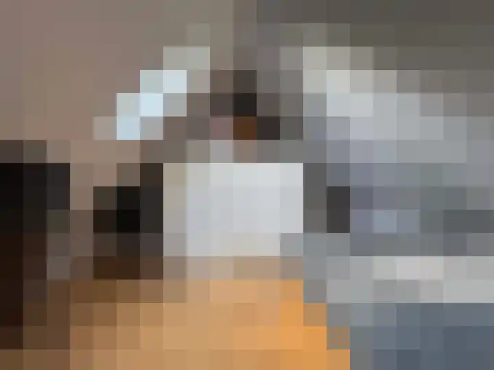 Lijsterbes 2 Coevorden thumbnail 31