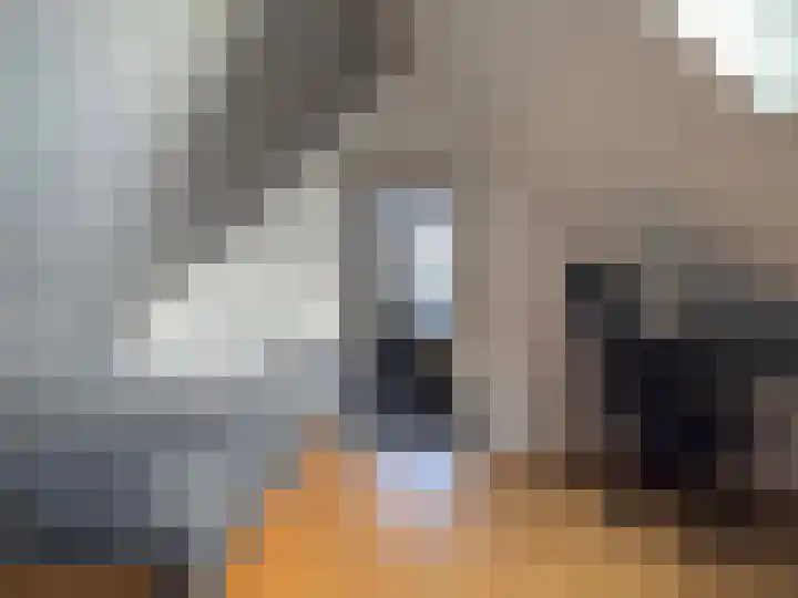 Lijsterbes 2 Coevorden thumbnail 32