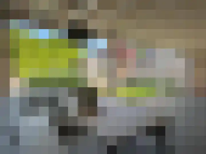 Lijsterbes 2 Coevorden thumbnail 6