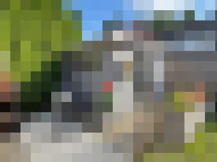 Lijsterbes 2 Coevorden thumbnail 9