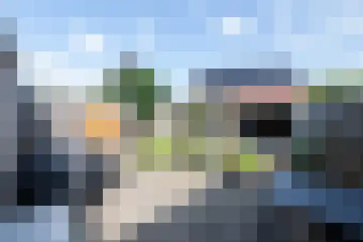 Lijsterbes 3 Heino thumbnail 13