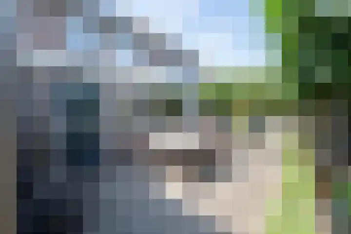 Lijsterbes 3 Heino thumbnail 14