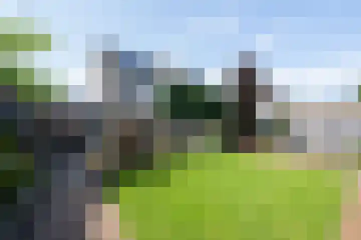 Lijsterbes 3 Heino thumbnail 15