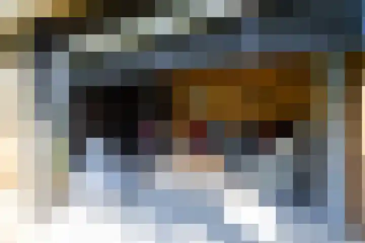 Lijsterbes 3 Heino thumbnail 16