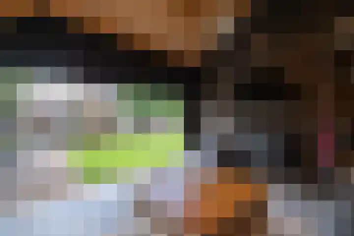 Lijsterbes 3 Heino thumbnail 17