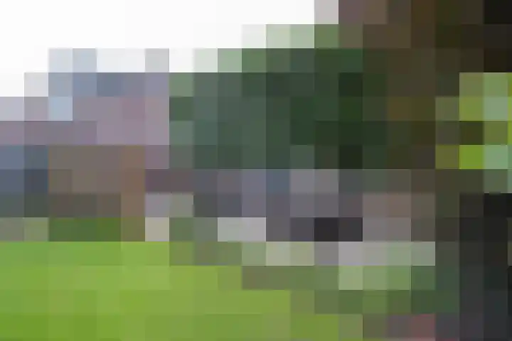 Lijsterbes 3 Heino thumbnail 18