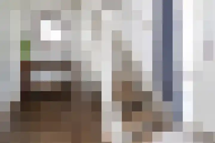 Lijsterbes 3 Heino thumbnail 19