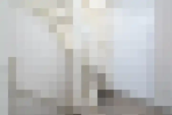 Lijsterbes 3 Heino thumbnail 24