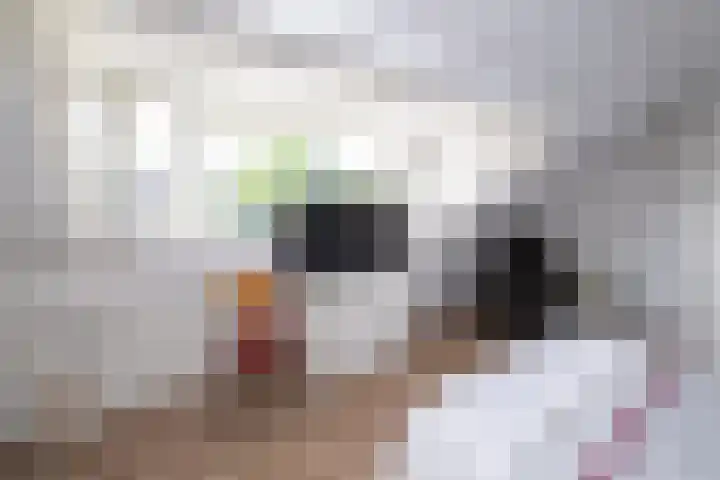 Lijsterbes 3 Heino thumbnail 27