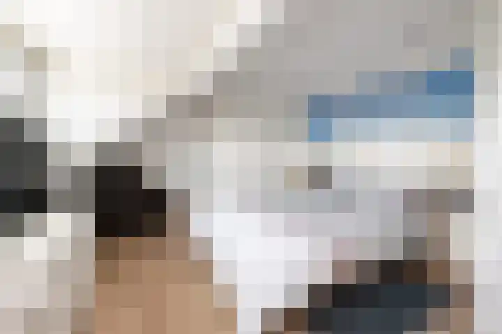 Lijsterbes 3 Heino thumbnail 28
