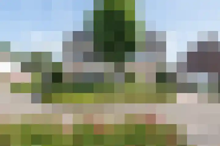 Lijsterbes 3 Heino thumbnail 29