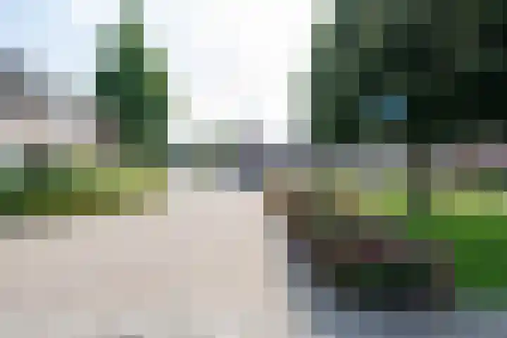 Lijsterbes 3 Heino thumbnail 30