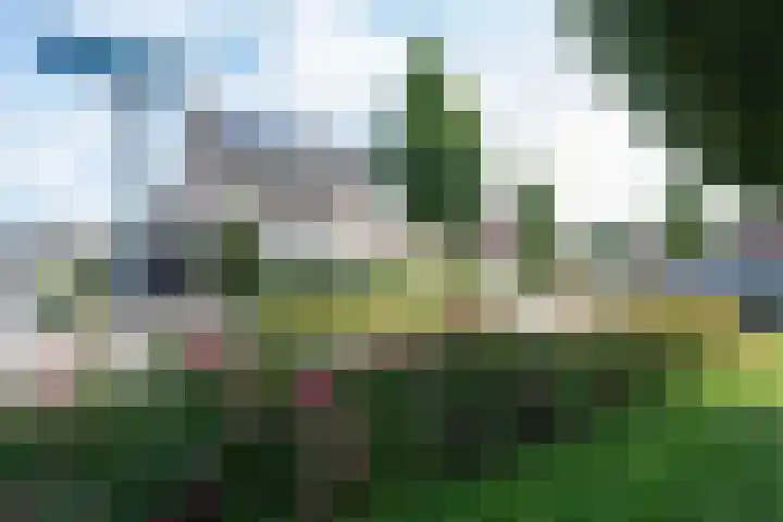 Lijsterbes 3 Heino thumbnail 31
