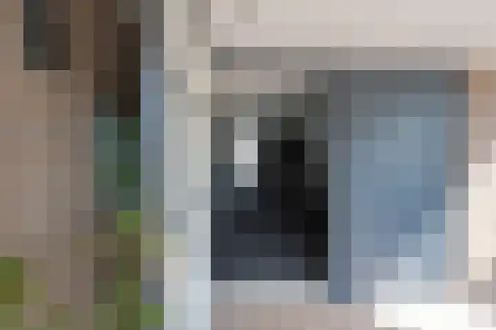 Lijsterbes 3 Heino thumbnail 4