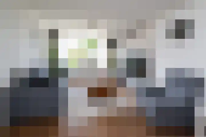 Lijsterbes 3 Heino thumbnail 5