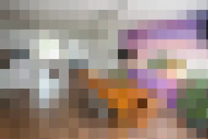 Lijsterbes 3 Heino thumbnail 6