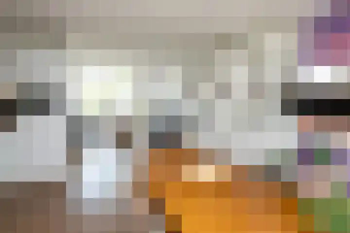 Lijsterbes 3 Heino thumbnail 8