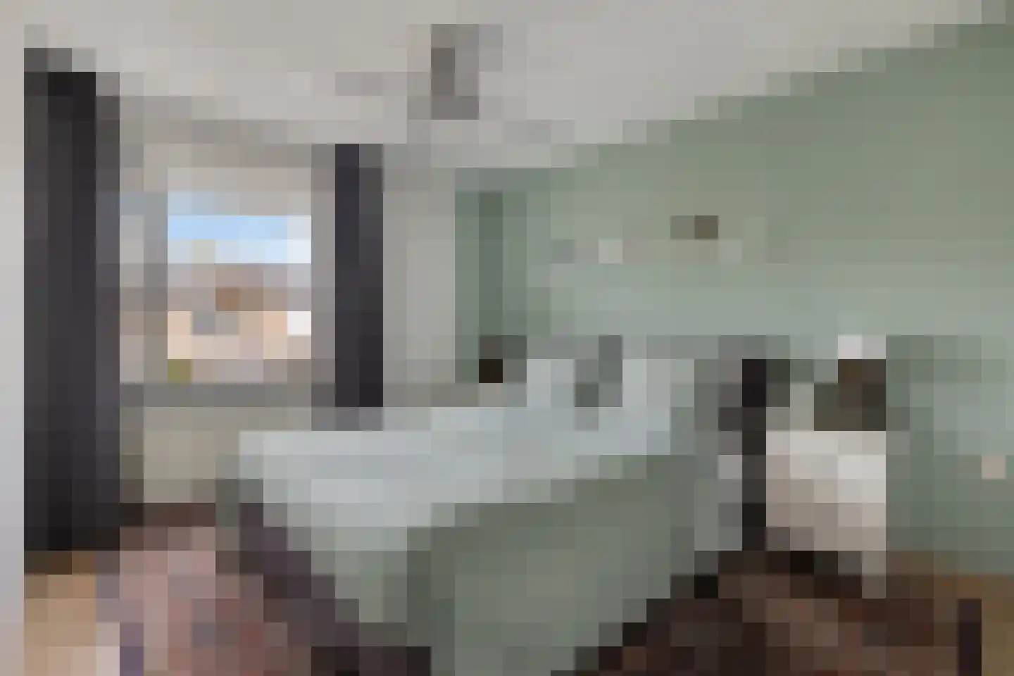 Lijsterbes 47 Best thumbnail 17