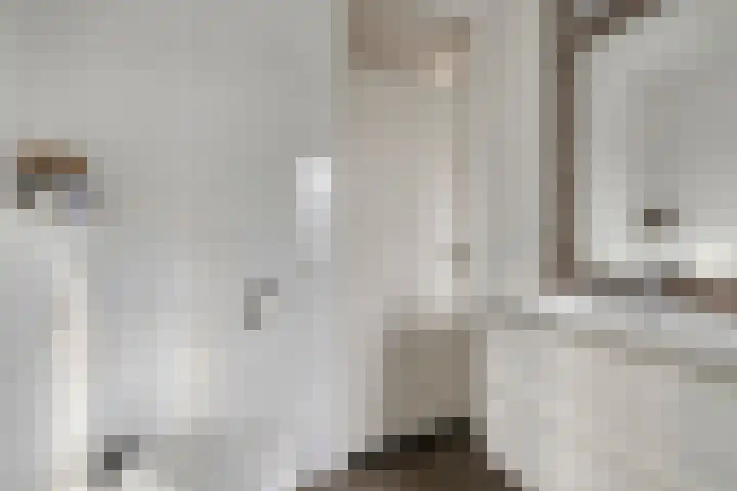 Lijsterbes 47 Best thumbnail 21